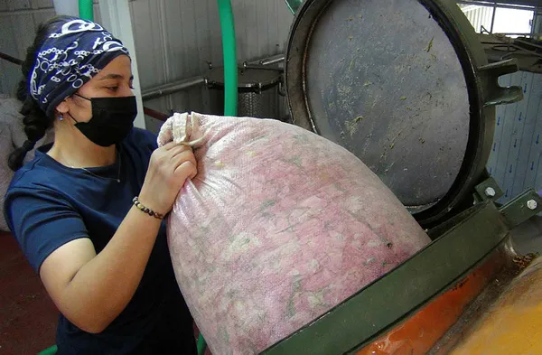 6 tondan sadece 1 litre çıkıyor! Litresi 7 bin Euro-4