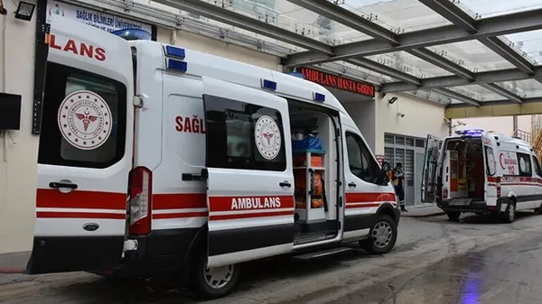1634716655930.jpg Güzelavrat otu alarmı! Trabzon ve Giresun'da 10 kişi zehirlendi! Dikkat o sebzeye çok benziyor! Pakdemirli'den flaş açıklama-5