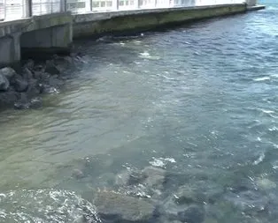 İstanbul’da yıllar sonra bir ilk