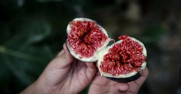 Tavsiyelere uyun kabızlığı unutun! İşte hayatı kabusa çeviren kabızlıkla ilgili bilinmesi gerekenler