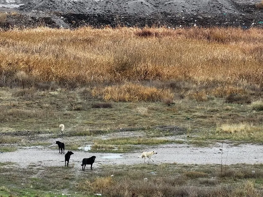 Tunahan’ın babası yürekleri sızlattı