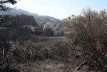 Bakan Yerlikaya’dan yangın açıklaması: Devlet milletinin yanında!