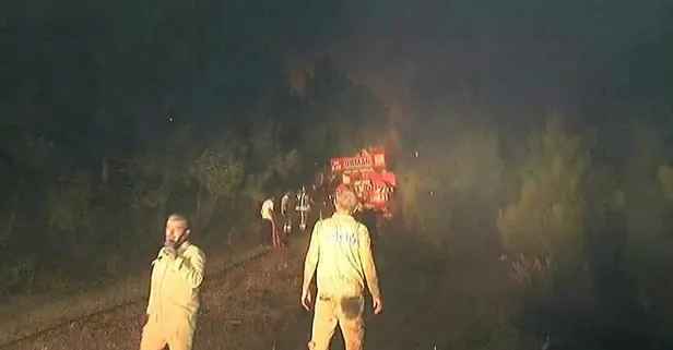 Son dakika: İstanbul Maltepe'de orman yangını!