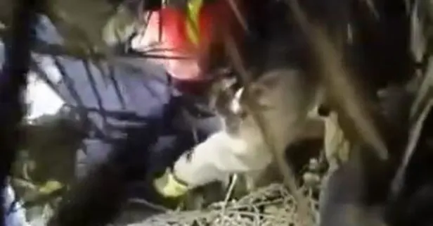 Alkollü şahıs fotoğraf çekmek isterken 10 metre yükseklikten düştü!