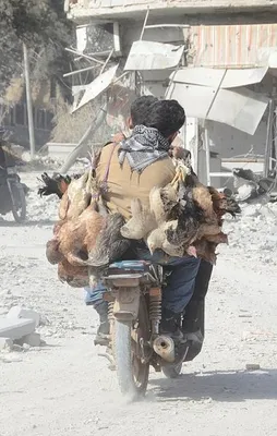 El Bab'a dönüş başladı