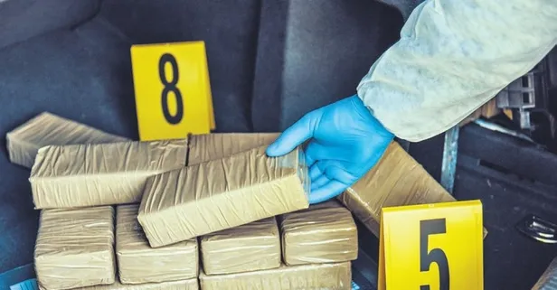 Küresel uyuşturucu şebekesinin taşeron baronları deşifre oldu: Aralarında ressam Salih Selimoğlu da var