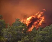 Orman yangını karşı yangınla önlendi