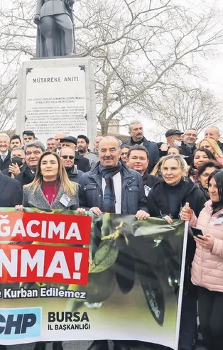Mudanya'da zeytinlik bırakmayan CHP'li Hayri Türkyılmaz eyleme katıldı! “İmara açtığın alanlar soğan tarlası mı?”
