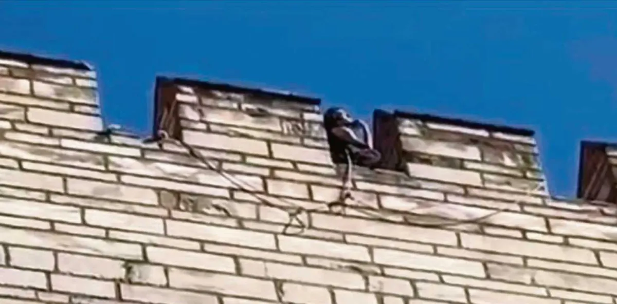 1781508029787.png İkbal Uzuner'in mezarına yapılan saygısızlıkta karar çıktı: 3 şüpheliye hapis cezası-4