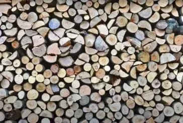 Zeka testi: Resimdeki örümcek nerede? 735 kişiden 22’si başarılı oldu