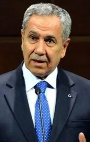 Siz ahmak değilsiniz sayın Arınç