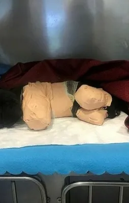 Yavru köpeğin ölümüyle ilgili Cumhurbaşkanlığı harekete geçti