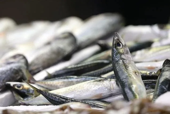 Av sezonu kapanıyor!