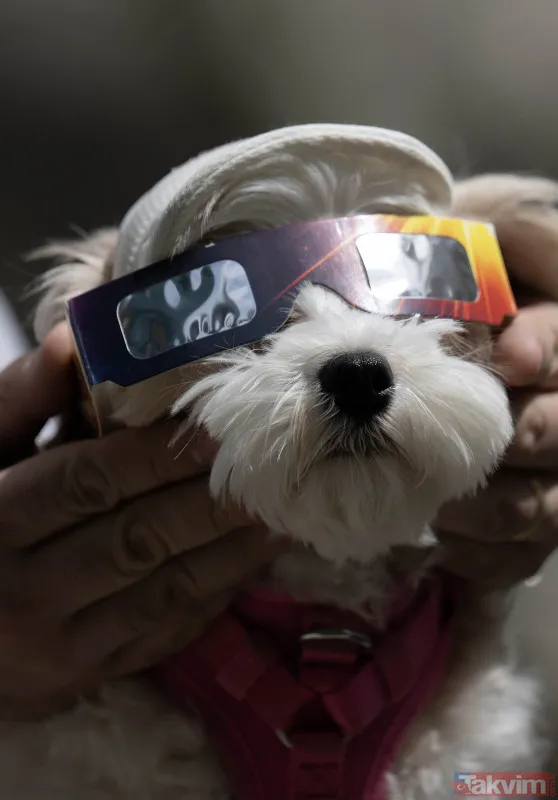 2024 yılının ilk tam Güneş tutulması ABD'de gerçekleşti | Milyonlarca kişi yakından takip etti! İşte o renkli anlar... - 1