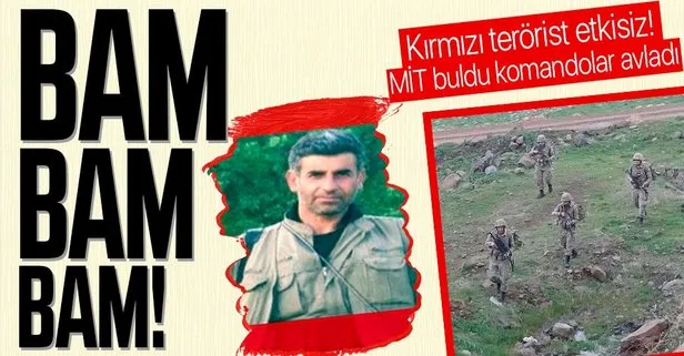 Son dakika: Kırmızı kategoride bulunan Agit Bismil kod adlı PKK’lı terörist Aydın Şimşek etkisiz hale getirildi