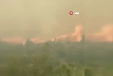 Bergama'da yangın!