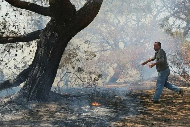 Son dakika: Antalya Lara'da ormanlık alanda yangın!-4