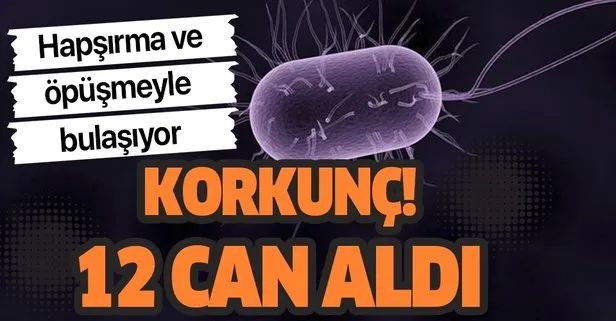 Avrupayı sarsan bakteri! 12 can aldı