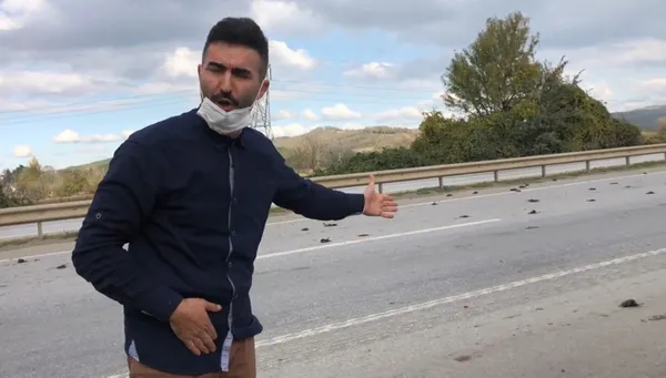 sakarya-hendekte-e-5-uzerinde-50-civarinda-sigircik-kusu-olu-ve-yarali-bulundu-1605874688543.jpg Sakarya Hendek'te E-5 üzerinde 50 civarında sığırcık kuşu ölü ve yaralı bulundu-2