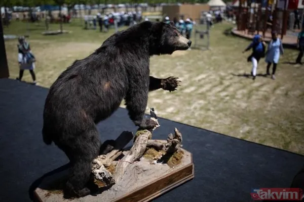 Etnospor Kültür Festivali açılış töreni yapıldı - 17