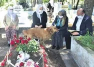 Güleda Cankelin annesi: Evlat acısı çok zor