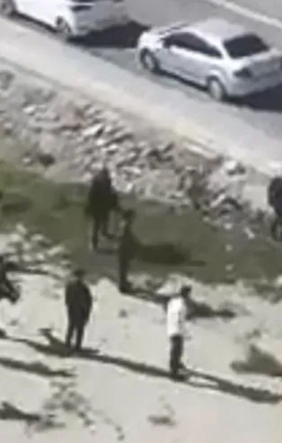 Mardin'de silahlı kavga! Yaralılar var...