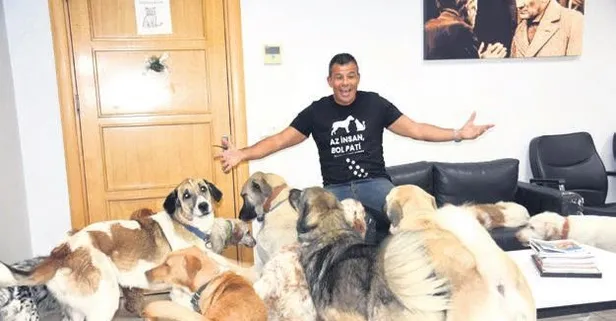 İzmir’de iş insanı fabrikasını sokak hayvanlarına açtı!