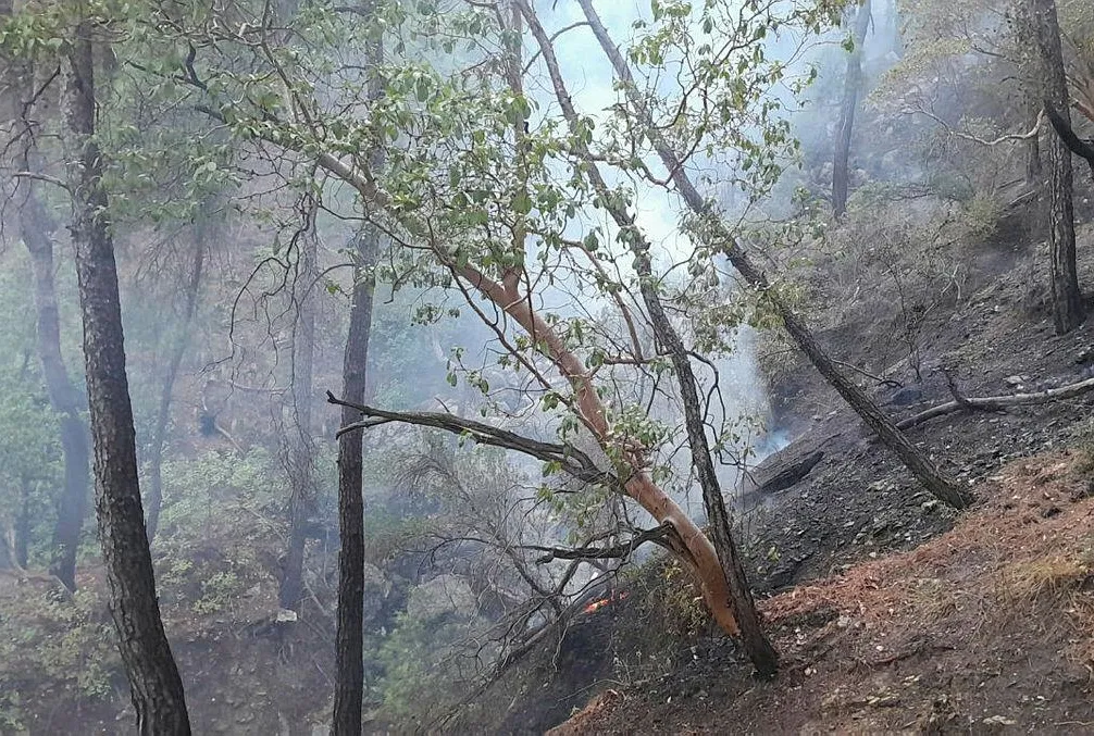 Alevlerle dört koldan mücadele!