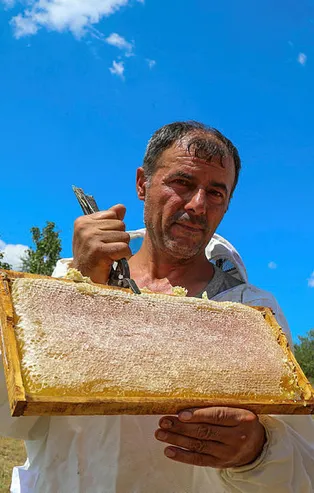 Lavanta balının kilosu 300 TL'ye satılıyor