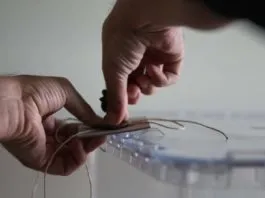 İstanbul seçimine günler kala son anketler ne durumda? GENAR Başkanı İhsan Aktaş'tan 23 Haziran seçimlerine ilişkin açıklama-4