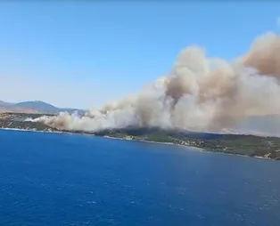 İzmir Aliağa ve Menderes'te çıkan orman yangınları kontrol altına alındı