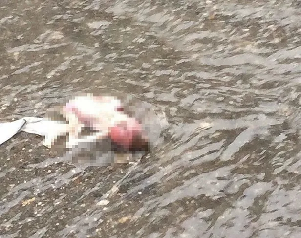 Batman'da şoke eden olay! Kanalizasyondan bebek cesedi çıktı-3