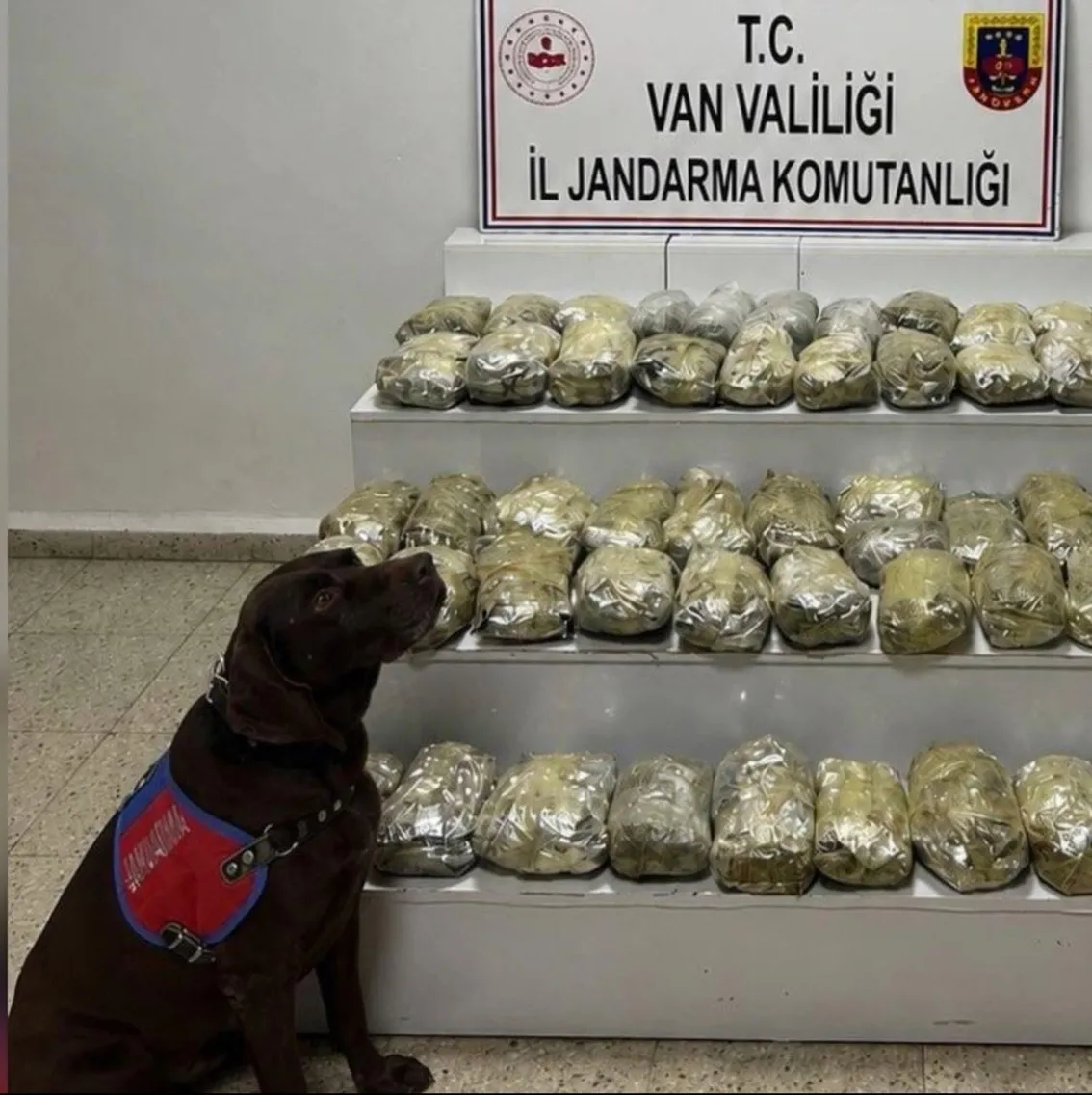 24 ilde uyuşturucu operasyonu