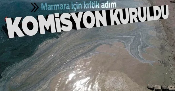 Son dakika: Müsilaj sorunu ile ilgili Meclis Araştırması Komisyonu kuruldu