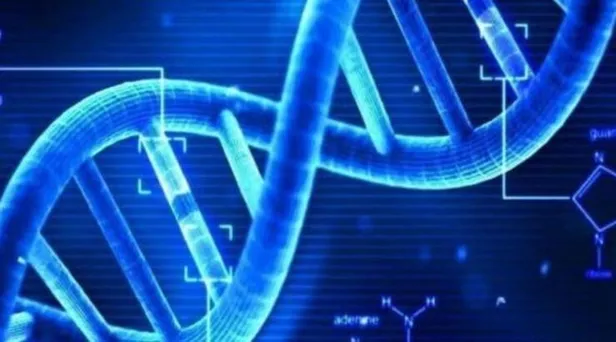 asi-genclerde-buyuk-risk-1607982790415.jpeg ABD Gıda ve İlaç Dairesi FDA'nın 5 üyesi Pfizer- BioNTech'e 'hayır' dedi: Aşı gençlerde büyük risk-3