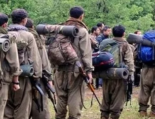 O hainler Lice’de öldürüldü