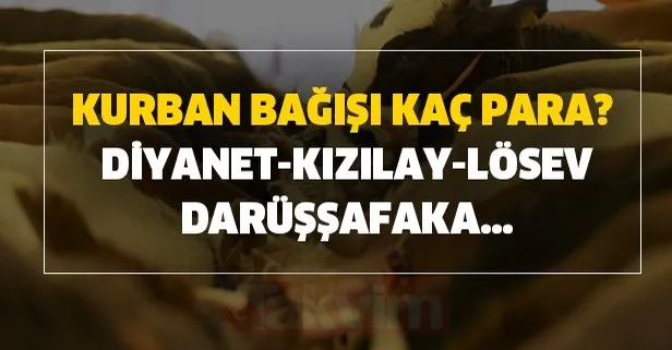 Diyanet Kizilay Losev Darussafaka Kurban Bagisi Fiyatlari 2020 Ne Kadar Oldu Kurban Bagisi Kac Para Takvim