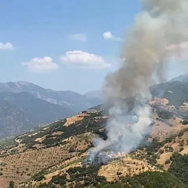Aydın’da zeytinlik yangını
