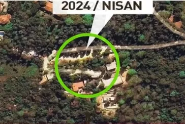 Kaçak villa için 100 kayın ağacını kestiler! Vaniköy'deki skandaldan ağaç katliamı çıktı
