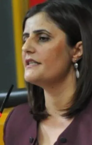 Dirayet Dilan Taşdemir kimdir, nereli? Dirayet Dilan Taşdemir nerenin milletvekili?