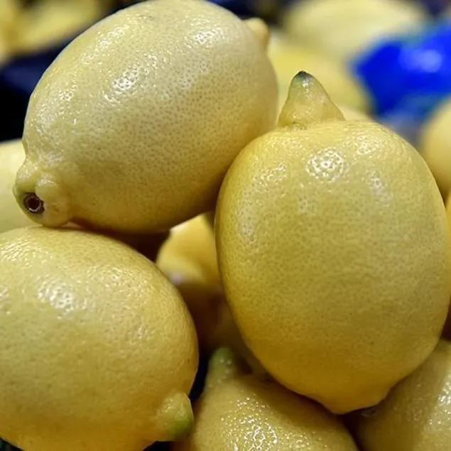 Hazımsızlığa limon sıkın