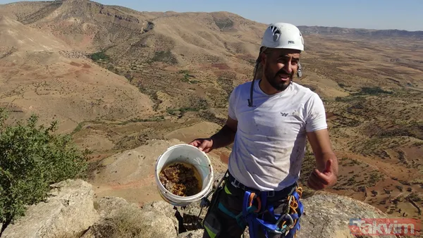 Kilogramı 500 TL! Batman'da dağlardan toplanan kaya balının sadece fazlasını satıyorlar - 15