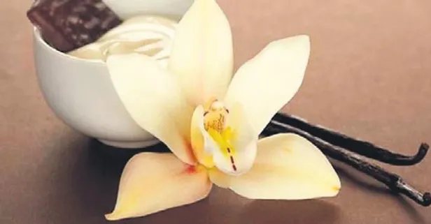 Buzdolabı temizliği | Pratik bilgiler