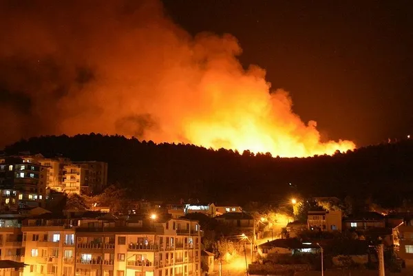 İzmir'de otluk alanda yangın çıktı! 1 kişi gözaltında-1