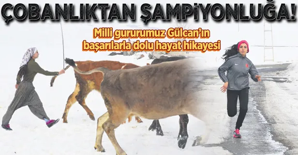 Milli başarı