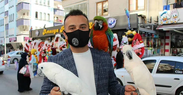 Araba fiyatına papağan | Yurttan haberler