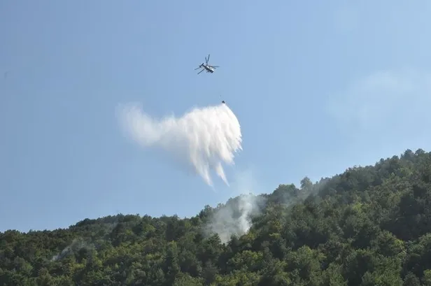 Adana ve Sinop'ta orman yangını! Kundaklama şüphesi...-1