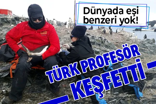 Türk profesör keşfetti! Dünyada eşi benzeri yok!-1