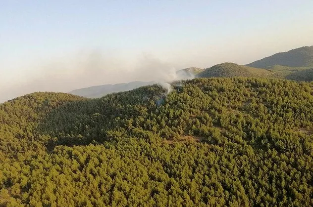 Muğla'da korkutan orman yangını