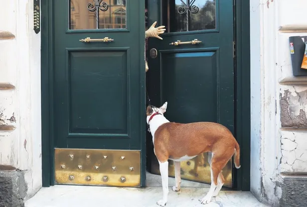 Çinli uzmandan korkutan açıklama: Coronavirüs kısırlığa neden oluyor!-31